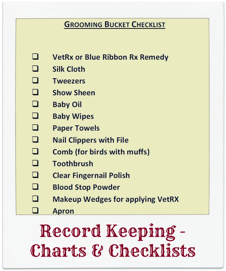 Grooming on Show Day