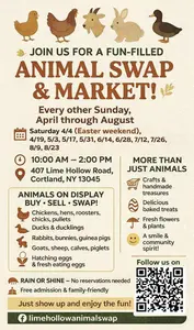 Lime Hollow Swap 2026Flyer