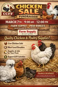 Information on the Central Coast Feather Fanciers Spring Poultry Sale