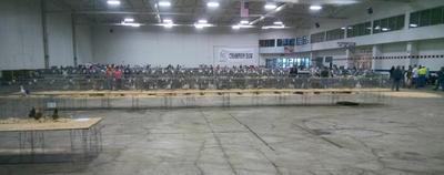 Fowl Fest, wide aisles, good lighting, single stacked, etc!
