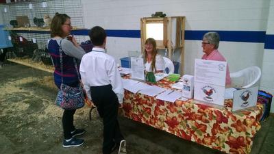 Ameraucana National Meet