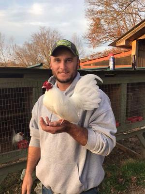 Res Show Champion White Tag Show, Natchez Trace Bantams