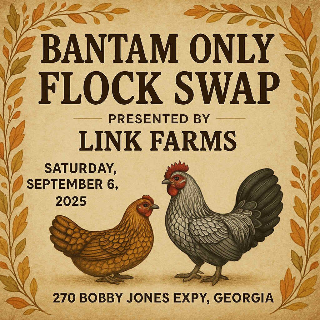 Bantam Only Flock Swap Flyer
