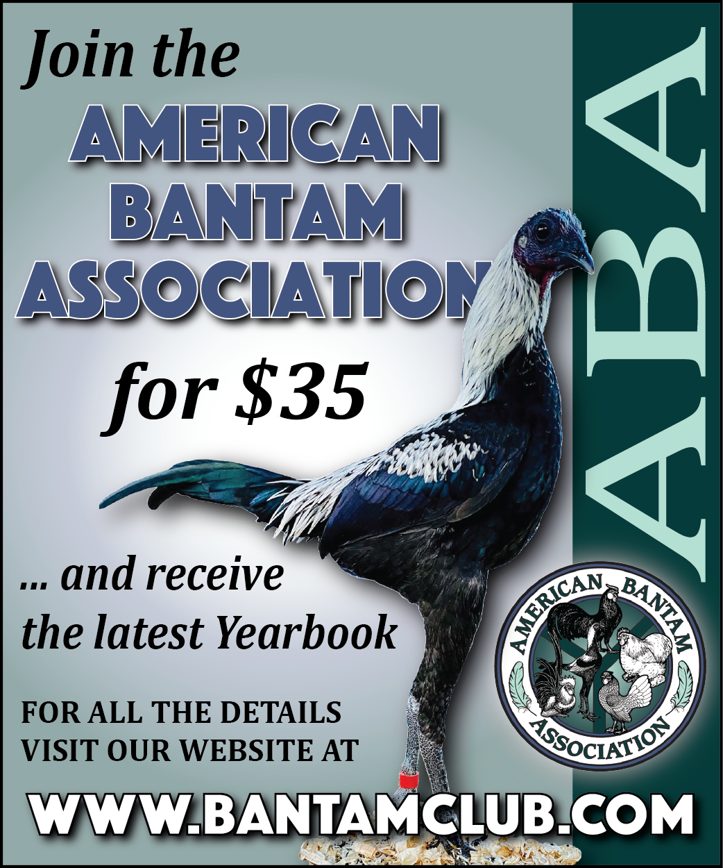 Updated ABA Ad
