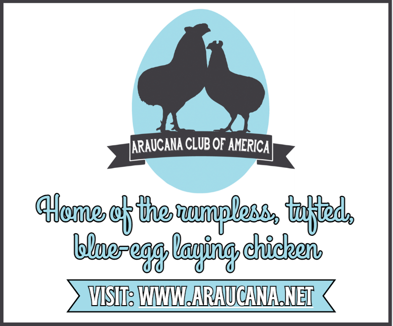 Araucana Club Ad