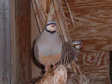 Photo Courtesy of Mark Rosen