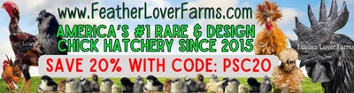 Feather Lover Farms Banner June 2024