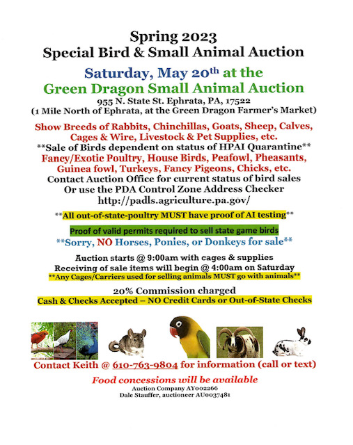 Green Dragon FLyer 2023 Green Dragon FLyer 2023