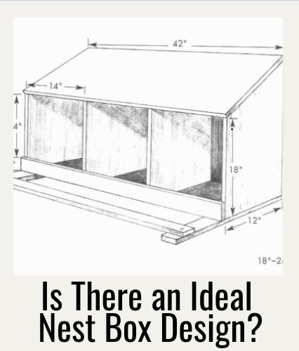 Ideal Nest Box Thumb