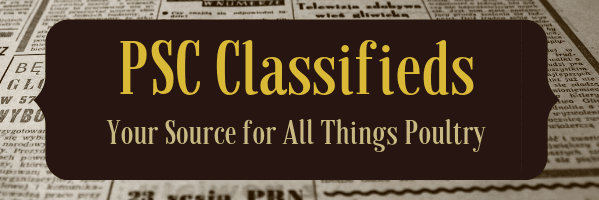 Compressed PSC Classifieds Homepage Compressed PSC Classifieds Homepage