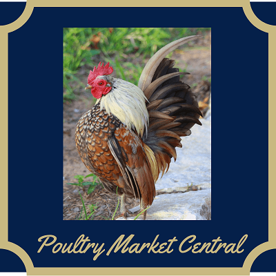 Photo Courtesy of Kyle Baker