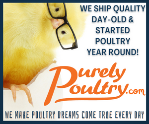 Purely Poultry Updated Ad 