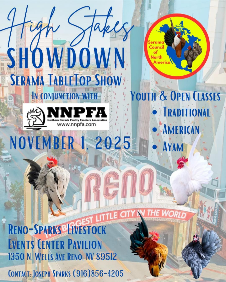 High Stakes Showdown Serama Flyer 2025 High Stakes Showdown Serama Flyer 2025
