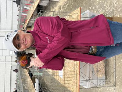 Cute trio of Blue Breasted Red OEG Bantams I came home with
