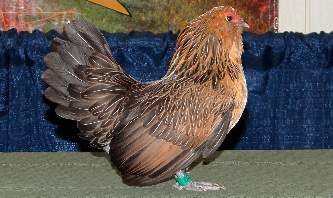 Photo Courtesy of Raven Myers