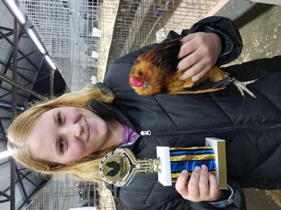 Reserve best of breed D'anver