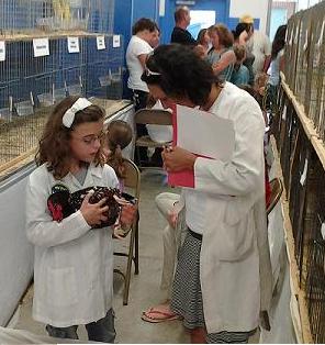 Showmanship Competition