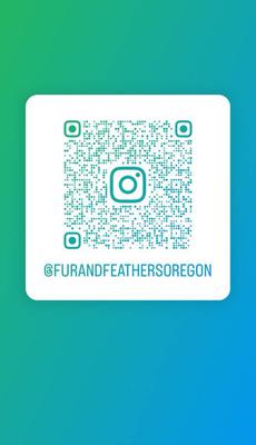 furandfeathersoregon at instagram