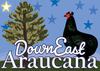 DownEast Araucana