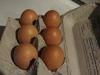 Bielefelder eggs