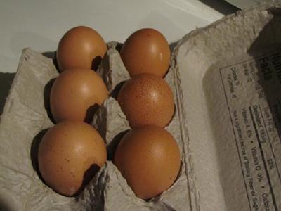 Bielefelder eggs