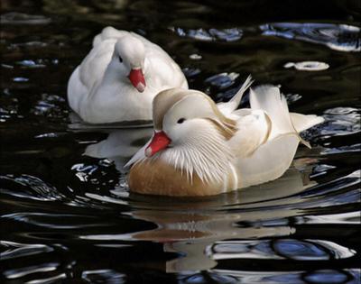 Photo credit: Martien Uiterweerd