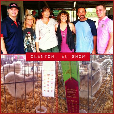 Hail, Hail, the Gangs All Here!