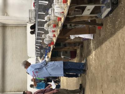 Checking the underside.